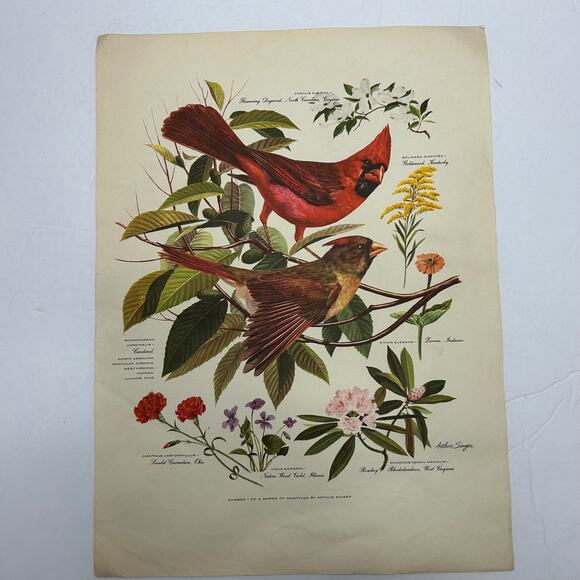 Vintage MCM Arthur Singer Series of Paintings American Home Magazine #'s 1,2,&6 - Picture 2 of 16